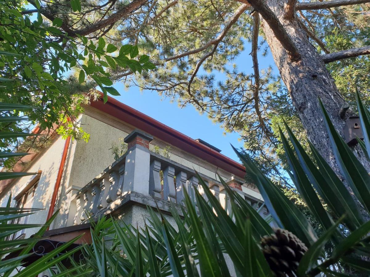 Kasza Villa Balatonfüred Zewnętrze zdjęcie