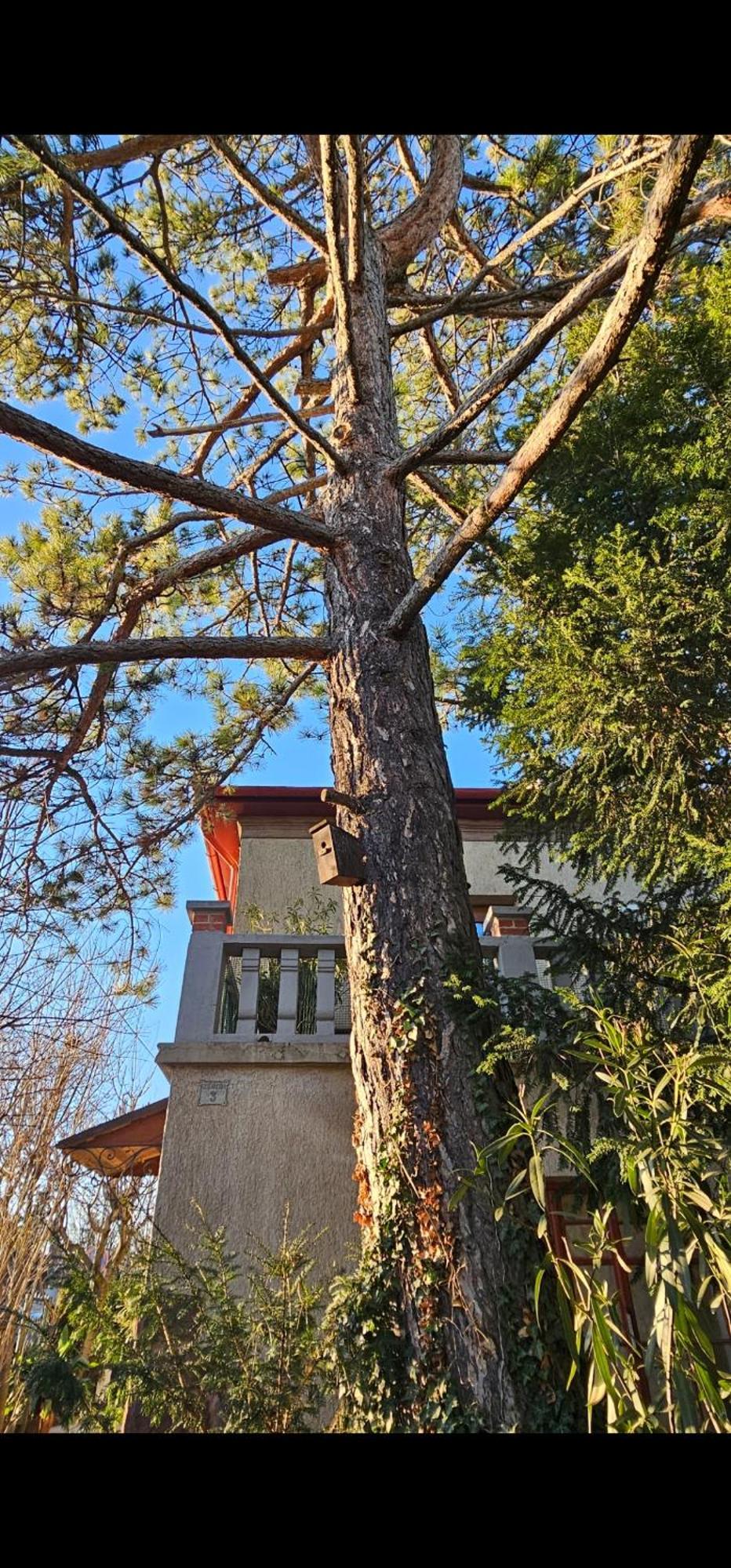 Kasza Villa Balatonfüred Zewnętrze zdjęcie